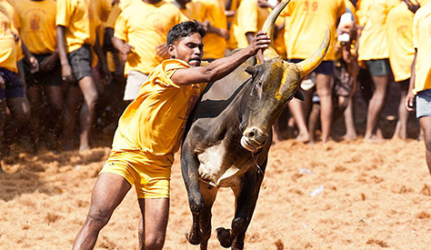 Jalli Kattu | தமிழகப் பெண்கள் செயற்களம் | Seyarkalam