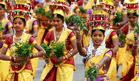 நாட்டுப்புற நடனங்கள் | தமிழகப் பெண்கள் செயற்களம் | Seyarkalam