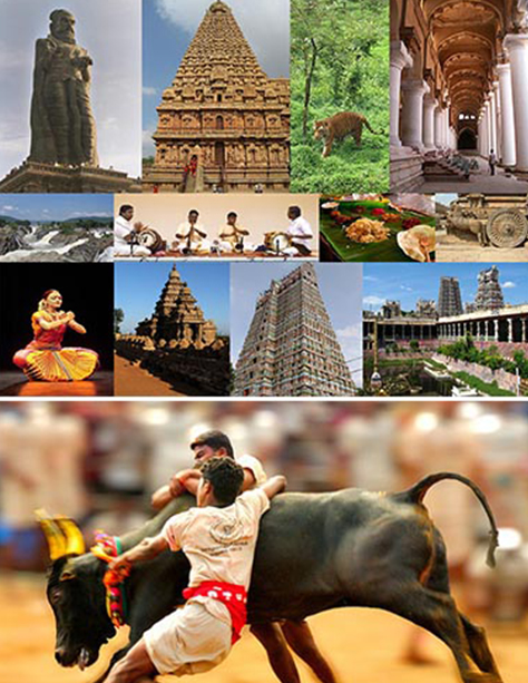 தமிழர் வரலாறு  வினா விடைப் போட்டி | தமிழகப் பெண்கள் செயற்களம் | Seyarkalam
